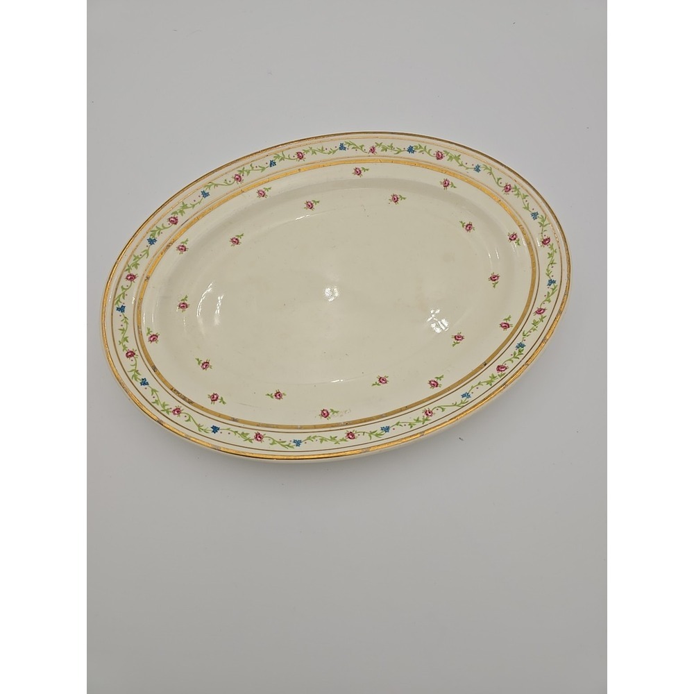 Steubenville‎ Vintage Porcelain Platter Pink Roses Blue Flowers Serving Platter